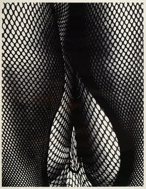 Ravenel | DAIDO MORIYAMA《Tights in Shimotakaido》 Ravenel Autumn